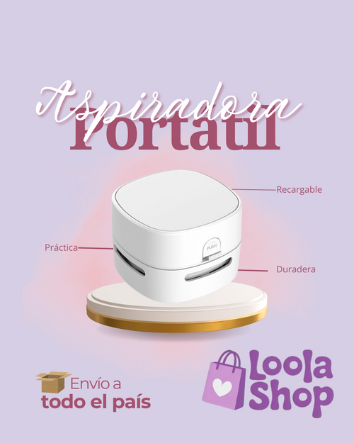 Aspiradora Portatil