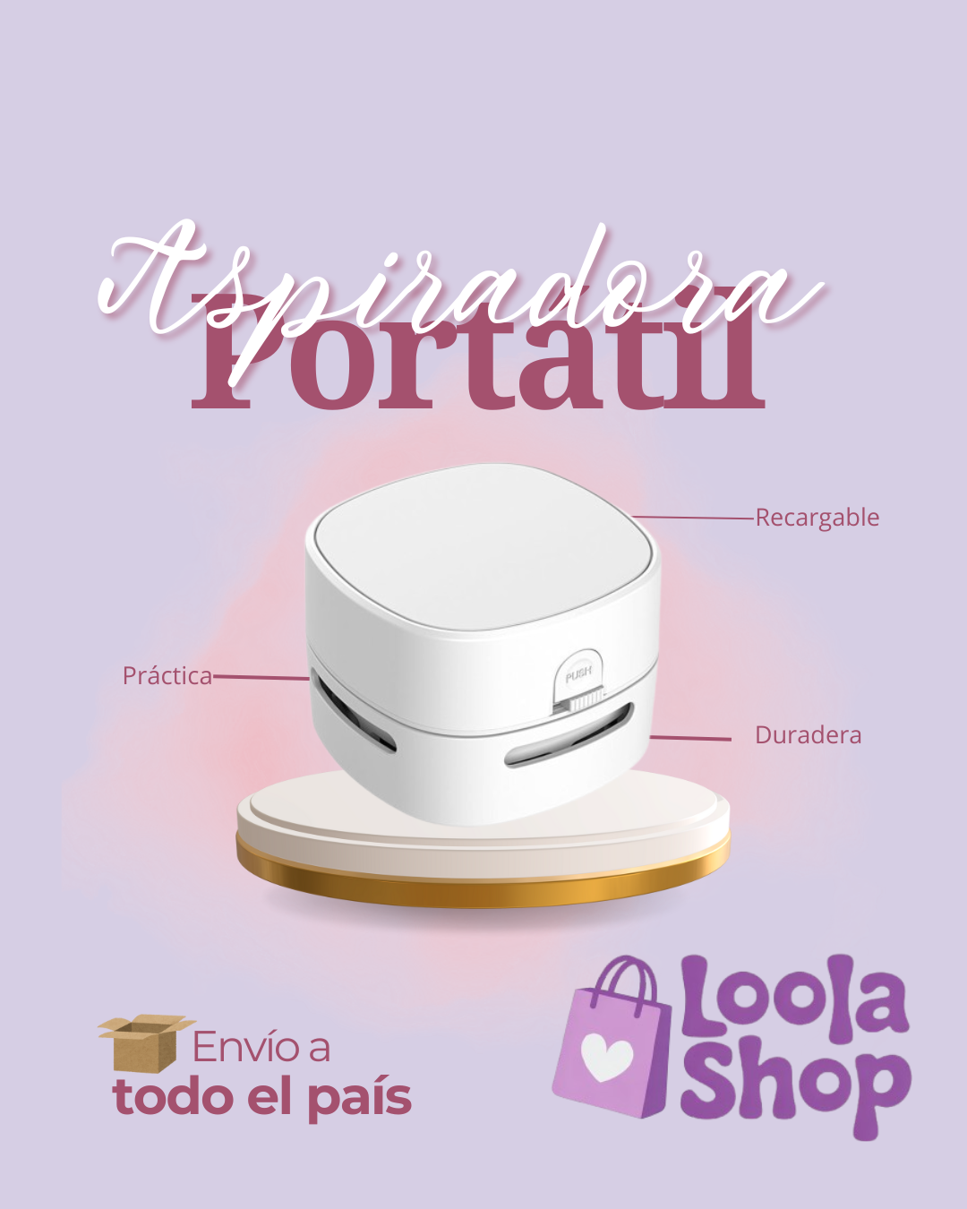 Aspiradora Portatil