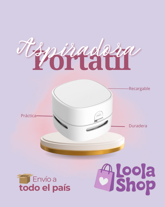 Aspiradora Portatil